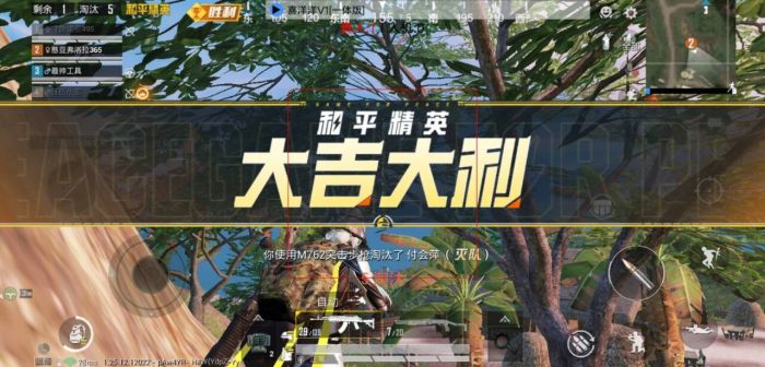 和平精英辅助 - 黑科技辅助平台 - 自瞄透视准星稳定兼容